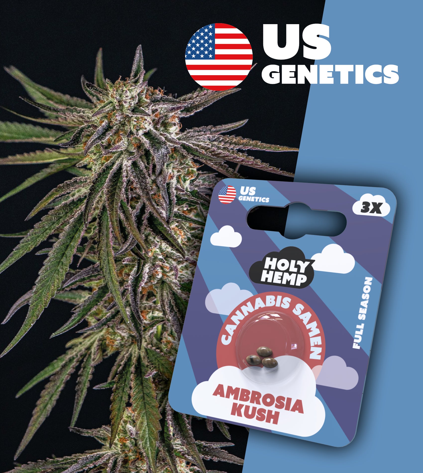 Ambrosia Kush