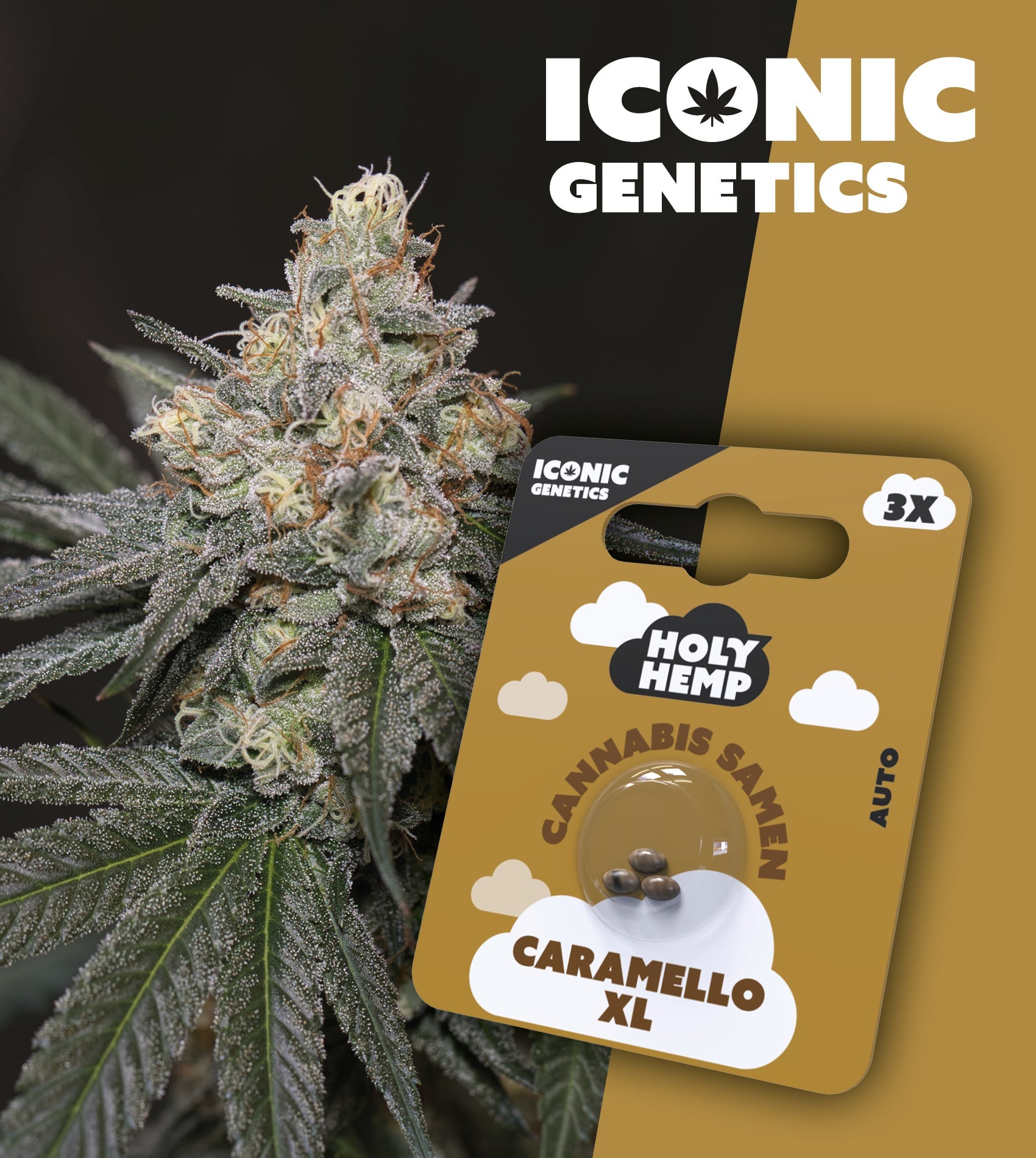 Caramello XL