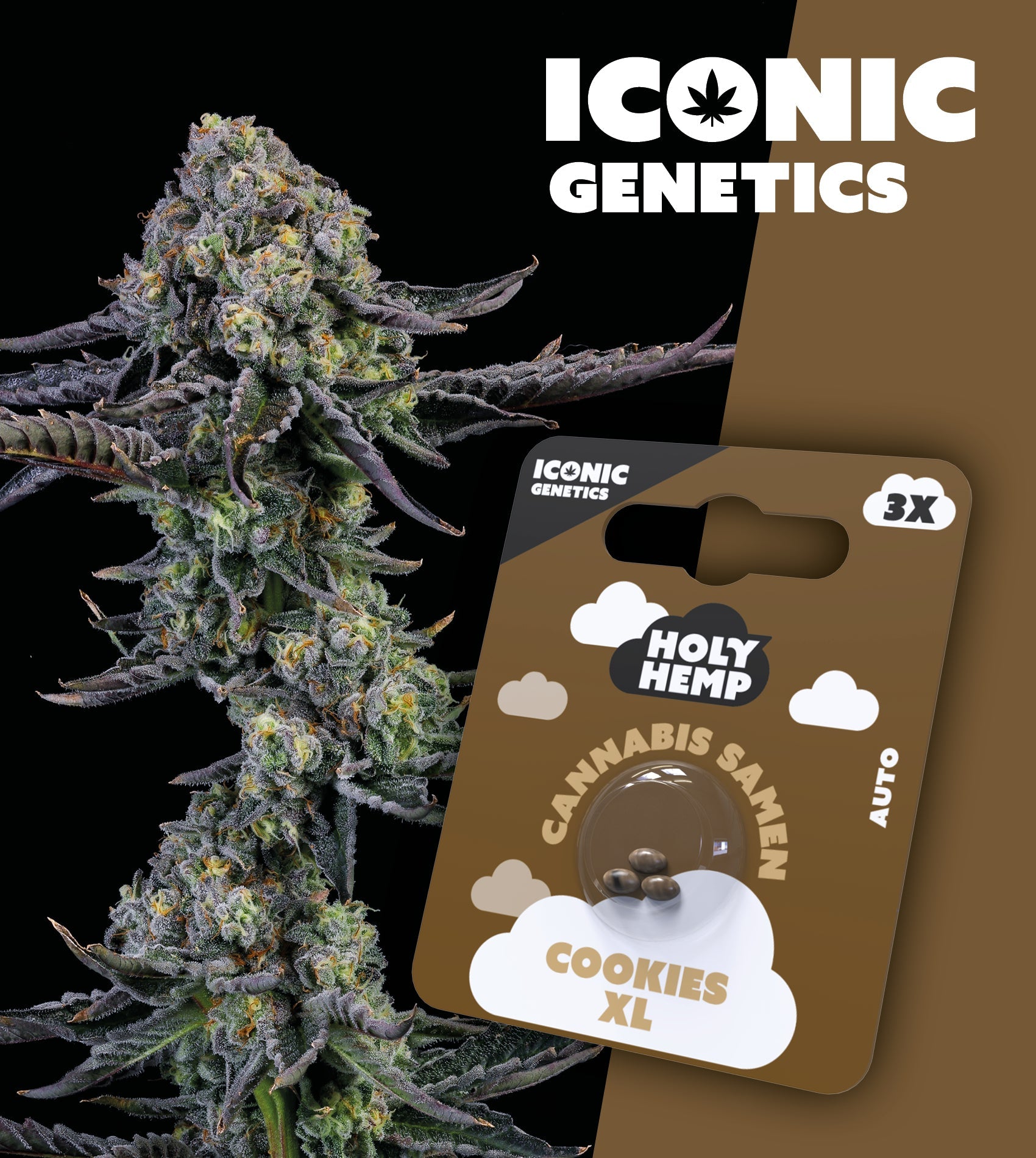 Cookies XL