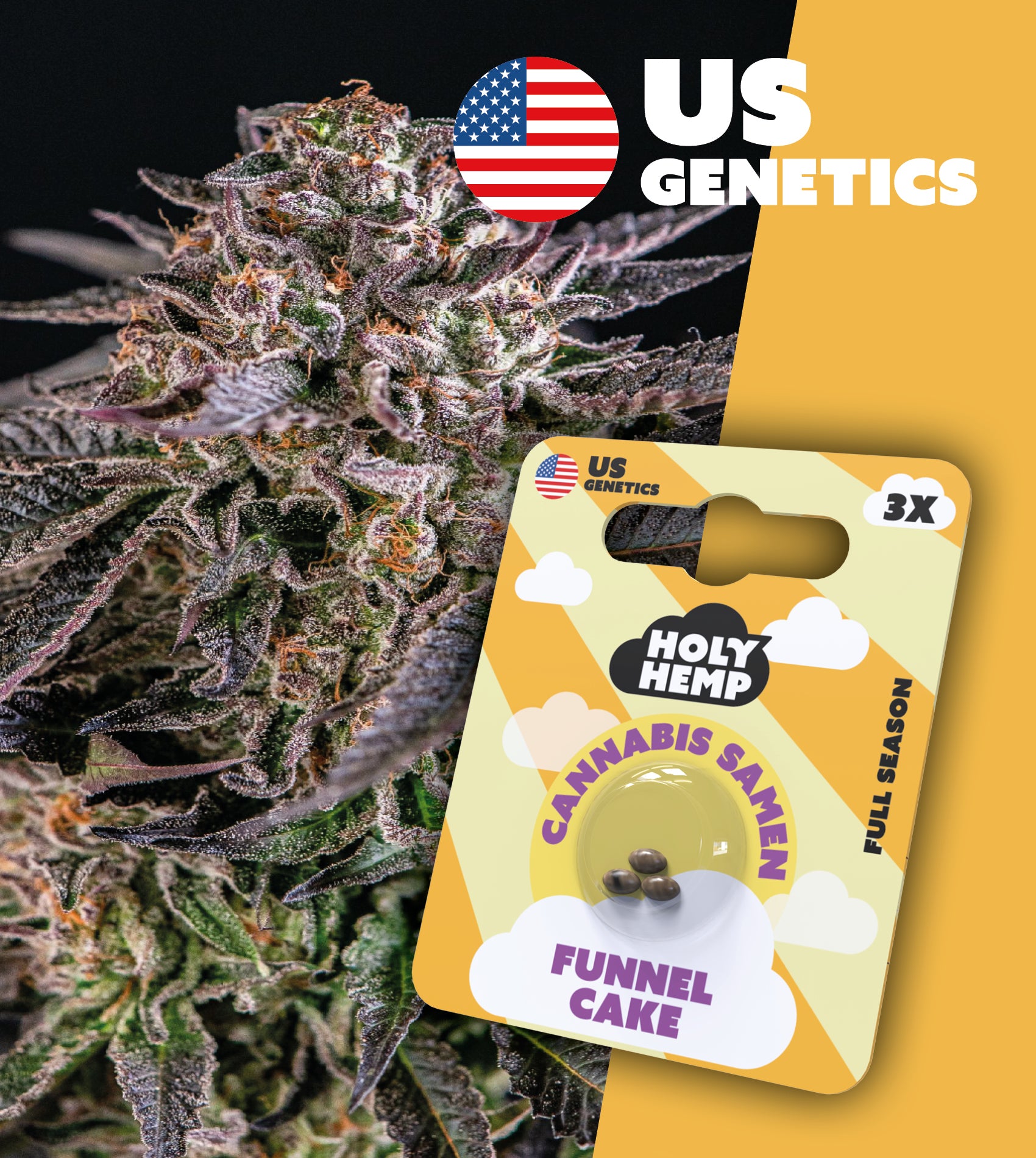 Funnel Cake US Calli Seeds