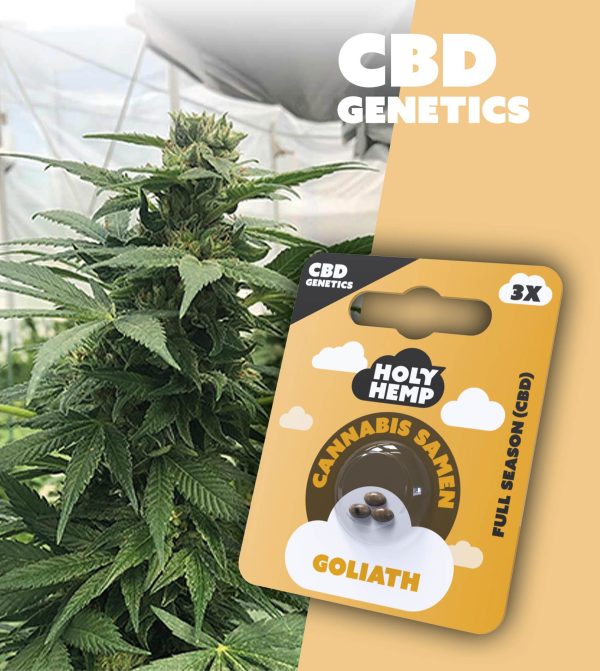 Goliath - CBD Genetics