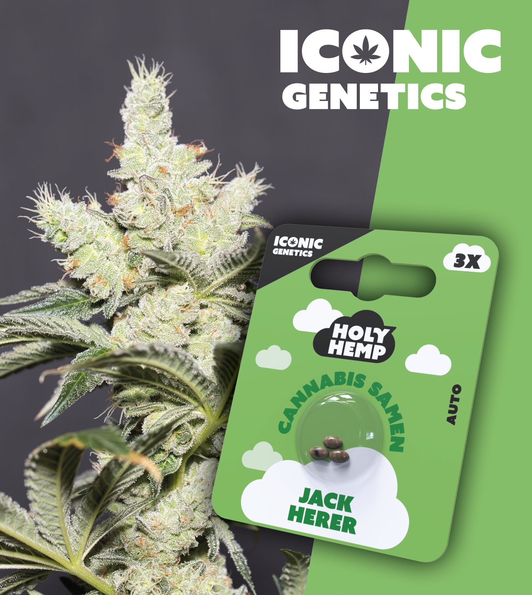 Jack Herer