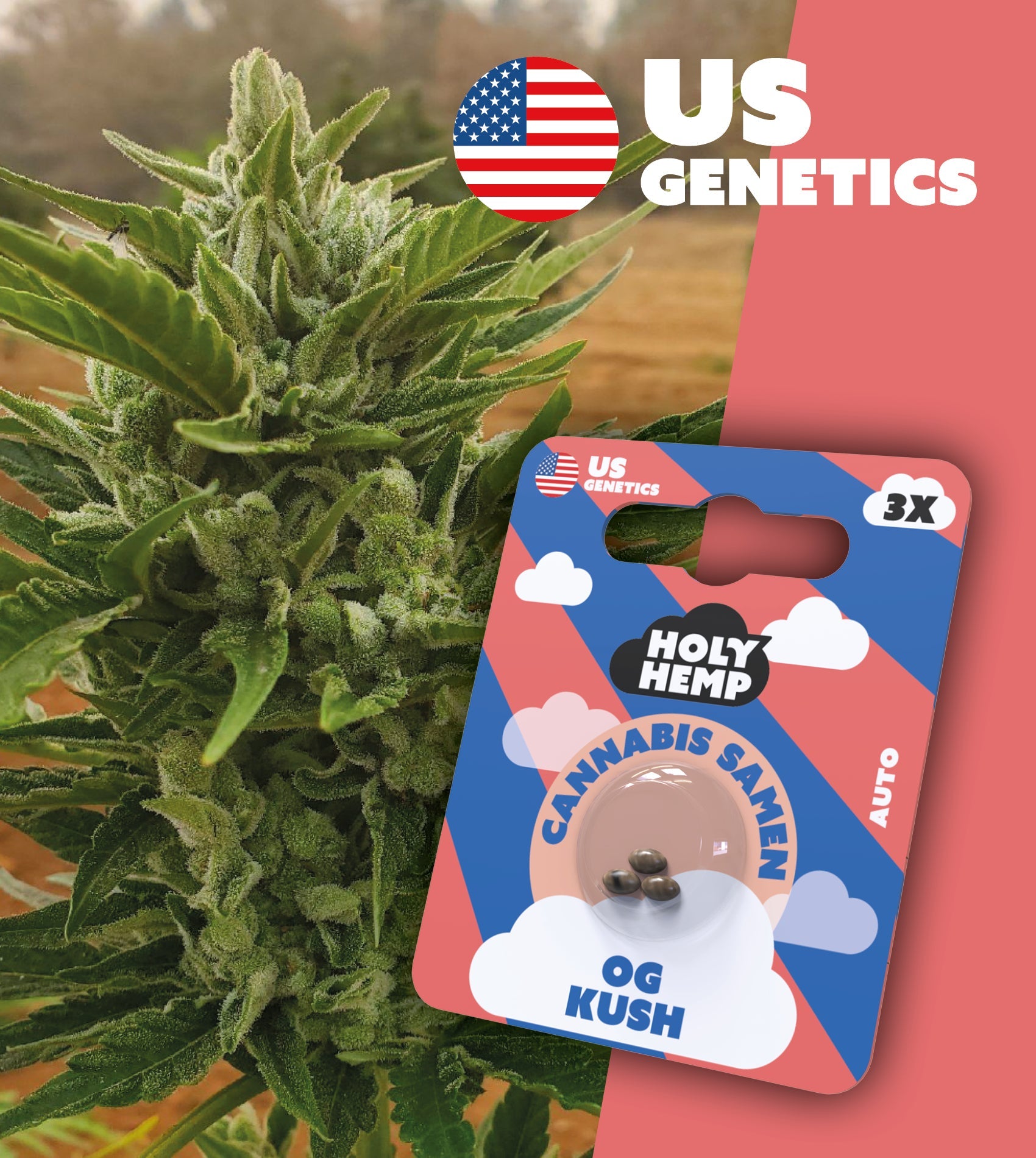 USA OG Kush