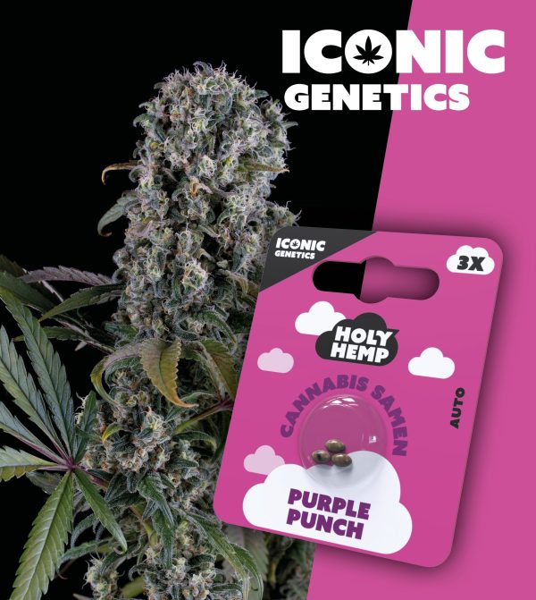 Purple Punch