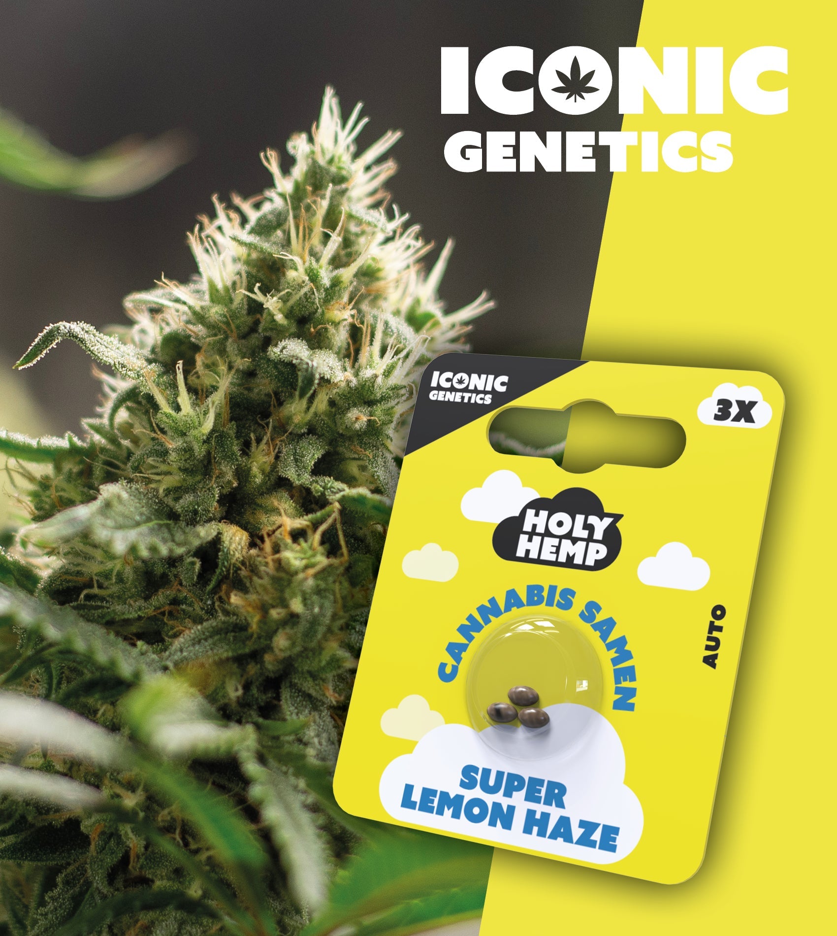 Super Lemon Haze