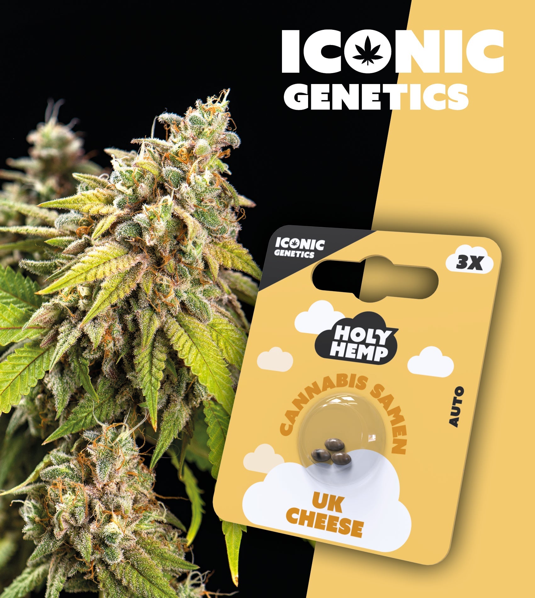 UK Cheese