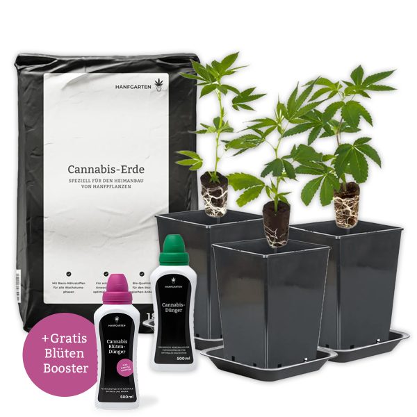 Outdoor-Anbau Rundum Sorglos Paket